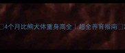 4个月比熊犬体重身高全超全养育指南
