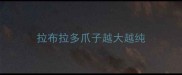 拉布拉多爪子越大越纯