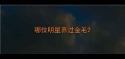 哪位明星养过金毛
