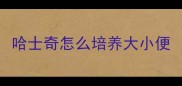 哈士奇怎么培养大小便