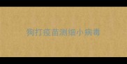 狗打疫苗测细小病毒