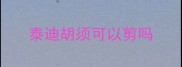 泰迪胡须可以剪吗
