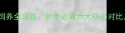 泰迪犬VS柴犬饲养全攻略新手必看六大核心对比附选犬指南