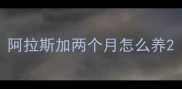 阿拉斯加两个月怎么养