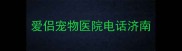 爱侣宠物医院电话济南