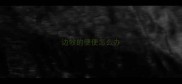 边牧的便便怎么办