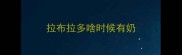 拉布拉多啥时候有奶