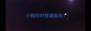小狗何时修建胎毛