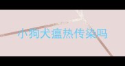 小狗犬瘟热传染吗