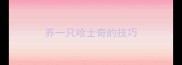 养一只哈士奇的技巧