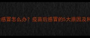 小狗打疫苗后感冒怎么办疫苗后感冒的5大原因及科学应对指南