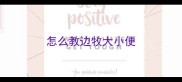 怎么教边牧大小便