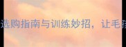 哈士奇玩具推荐选购指南与训练妙招让毛孩子更快乐更健康