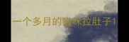 一个多月的猫咪拉肚子