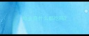 哈士奇什么都吃吗