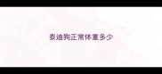 泰迪狗正常体重多少