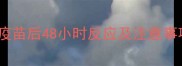 狗狗接种疫苗全攻略疫苗后48小时反应及注意事项附紧急处理清单