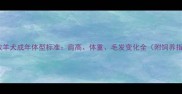 边境牧羊犬成年体型标准肩高体重毛发变化全附饲养指南