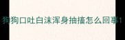 狗狗口吐白沫浑身抽搐怎么回事