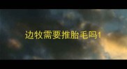 边牧需要推胎毛吗