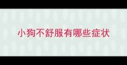 小狗不舒服有哪些症状