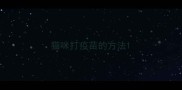 猫咪打疫苗的方法