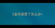 2金毛感冒了怎么办