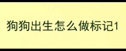 狗狗出生怎么做标记