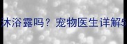 狗狗洗澡用沐浴露吗宠物医生详解5大注意事项