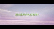 适合家养的大型宠物