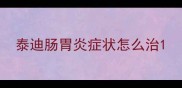 泰迪肠胃炎症状怎么治