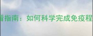狗狗疫苗最后一针必看指南如何科学完成免疫程序守护爱犬健康全