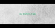 哈士奇的尾巴向下卷着