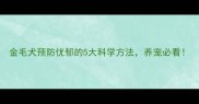 金毛犬预防忧郁的5大科学方法养宠必看