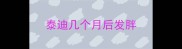 泰迪几个月后发胖