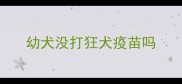 幼犬没打狂犬疫苗吗