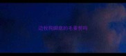 边牧狗脚底的毛要剪吗