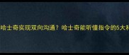 人类如何与哈士奇实现双向沟通哈士奇能听懂指令的5大科学训练法