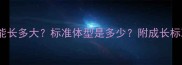 6个月比熊犬能长多大标准体型是多少附成长标准与饲养指南