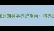 90天全攻略幼暹罗猫科学养护指南喂养疫苗行为训练全