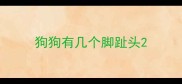 狗狗有几个脚趾头