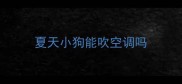 夏天小狗能吹空调吗