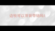 边牧可以用背带链吗
