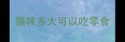 猫咪多大可以吃零食