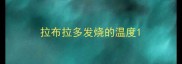 拉布拉多发烧的温度