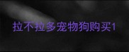拉不拉多宠物狗购买