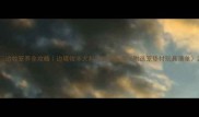 边牧笼养全攻略边境牧羊犬科学饲养指南附选笼垫材玩具清单