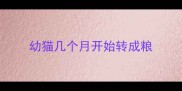 幼猫几个月开始转成粮