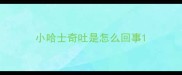 小哈士奇吐是怎么回事