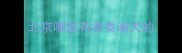 北京哪里有卖泰迪犬的